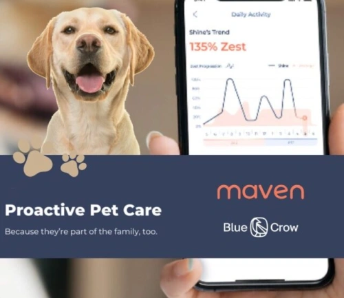 New Investment – Maven.Pet