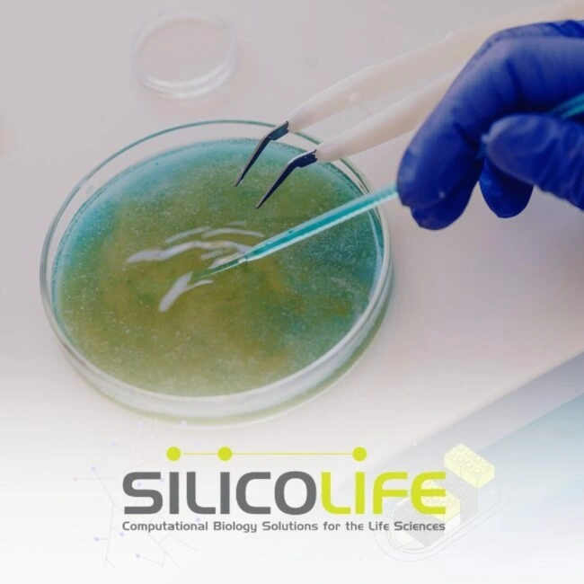 Silicolife